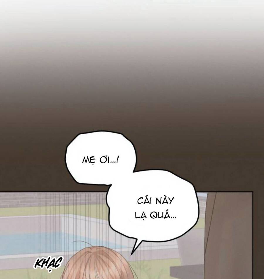 Cuộc Hôn Nhân Hoàn Hảo - Chương 19.1 - Trang 5