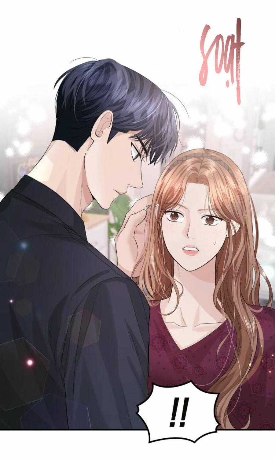 Cuộc Hôn Nhân Hoàn Hảo - Chương 30 - Trang 12