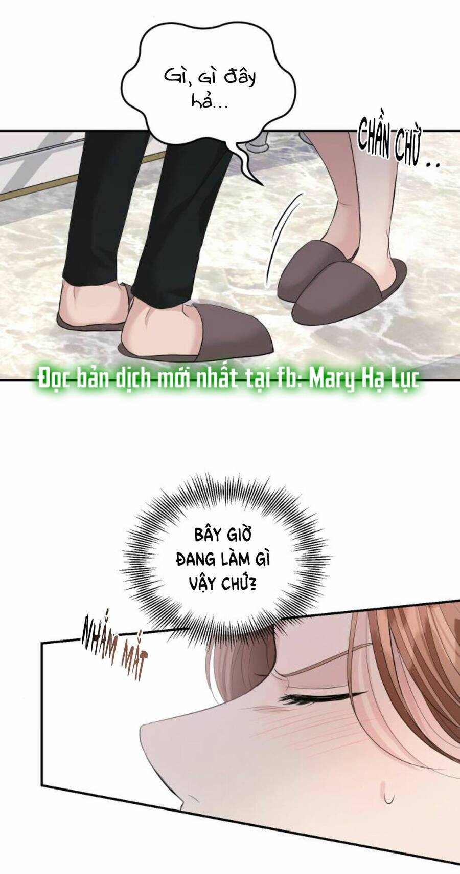 Cuộc Hôn Nhân Hoàn Hảo - Chương 30 - Trang 13