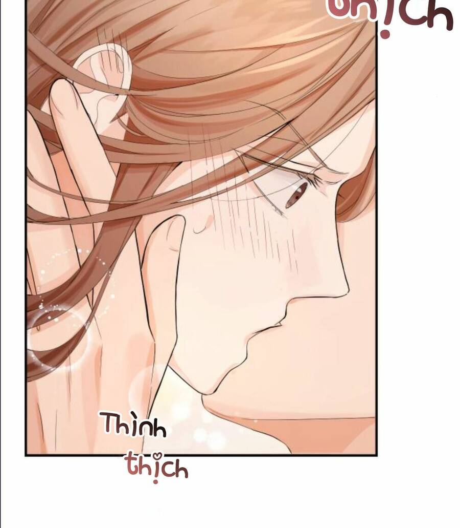 Cuộc Hôn Nhân Hoàn Hảo - Chương 4 - Trang 2