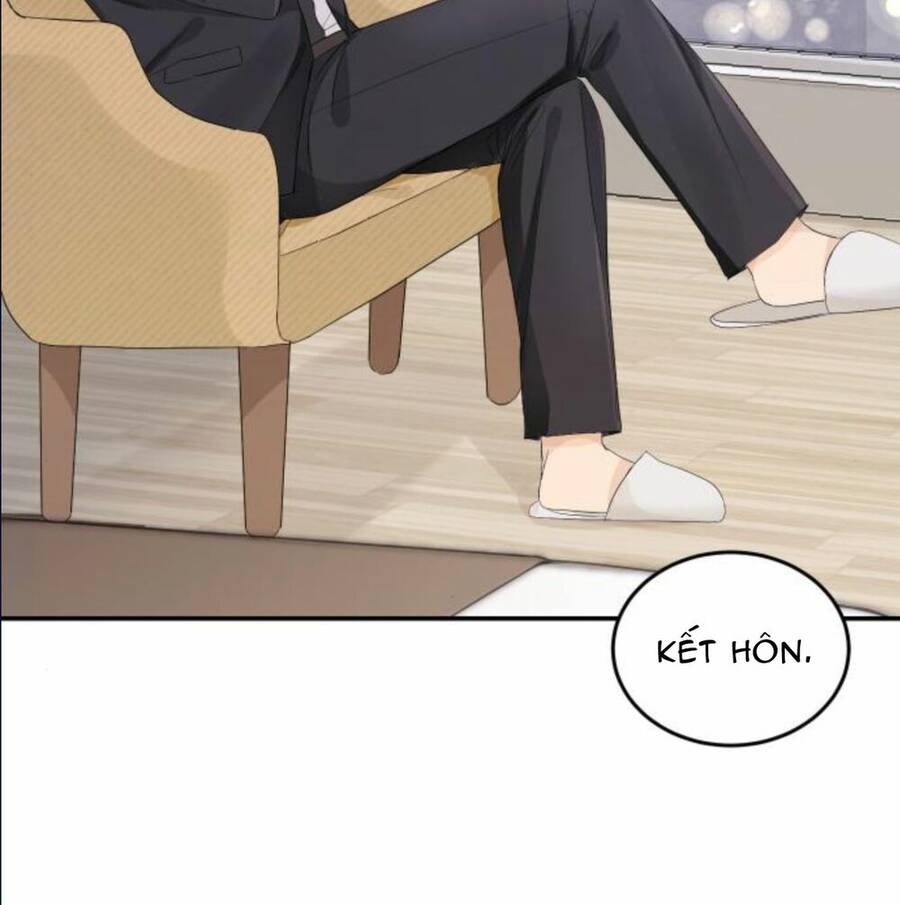 Cuộc Hôn Nhân Hoàn Hảo - Chương 4 - Trang 28