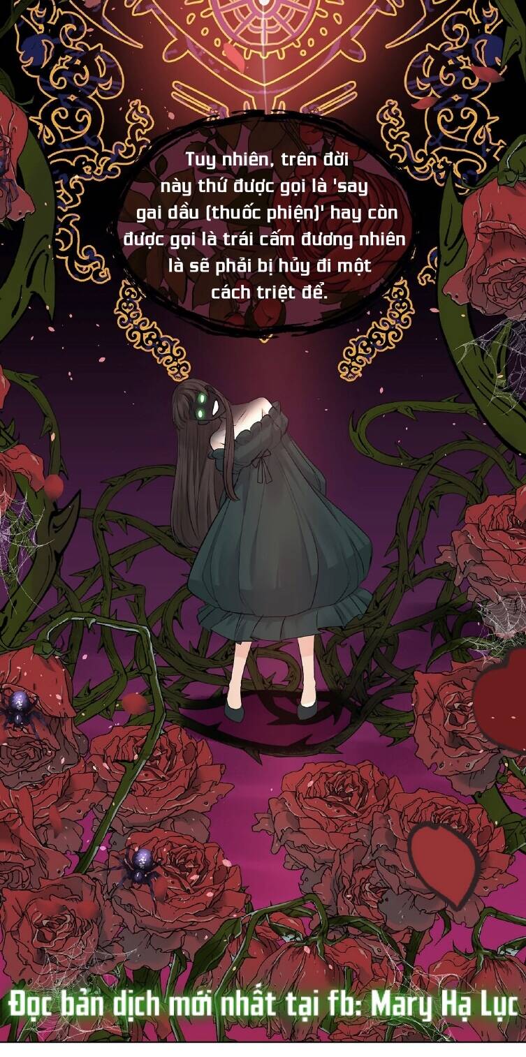 Bảo Vật Của Công Chúa - Chương 35.1 - Trang 3