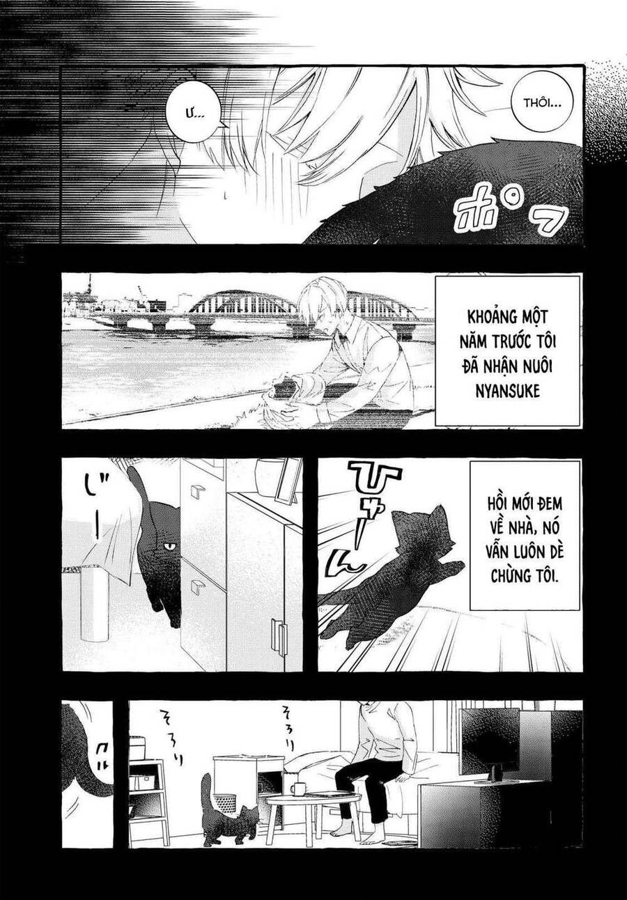 Chiteki De Cool Na Kouhai Bijo, Ore No Kai Neko Ni Naru - Chương 1 - Trang 4