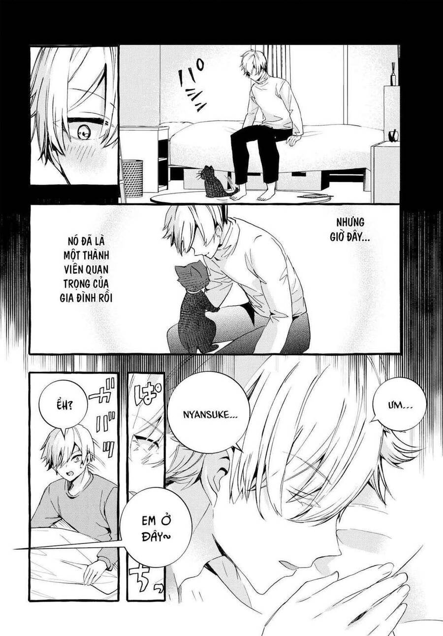 Chiteki De Cool Na Kouhai Bijo, Ore No Kai Neko Ni Naru - Chương 1 - Trang 5