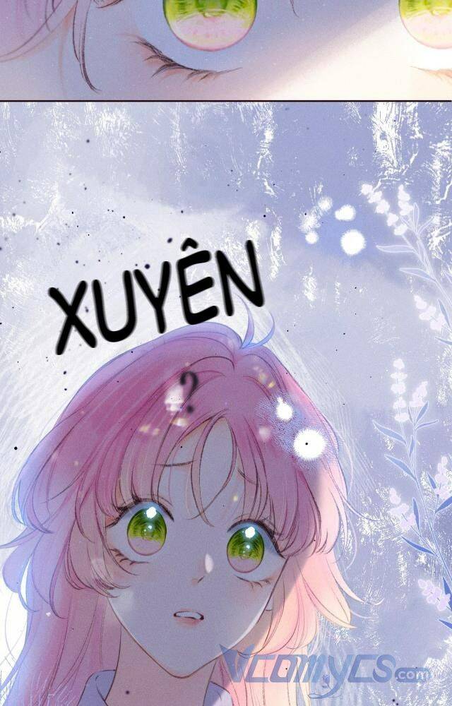 Sự Gai Góc Dịu Dàng - Chương 2 - Trang 2