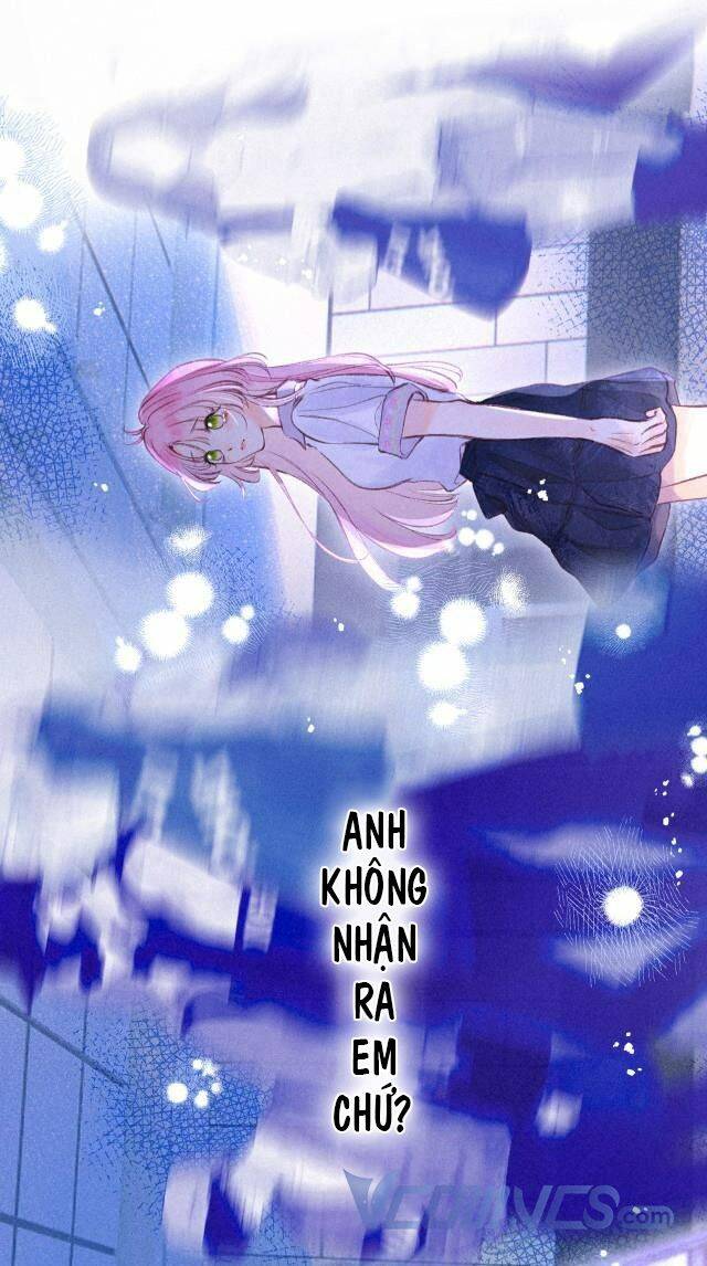 Sự Gai Góc Dịu Dàng - Chương 2 - Trang 4