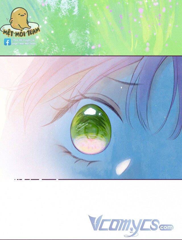 Sự Gai Góc Dịu Dàng - Chương 6 - Trang 13