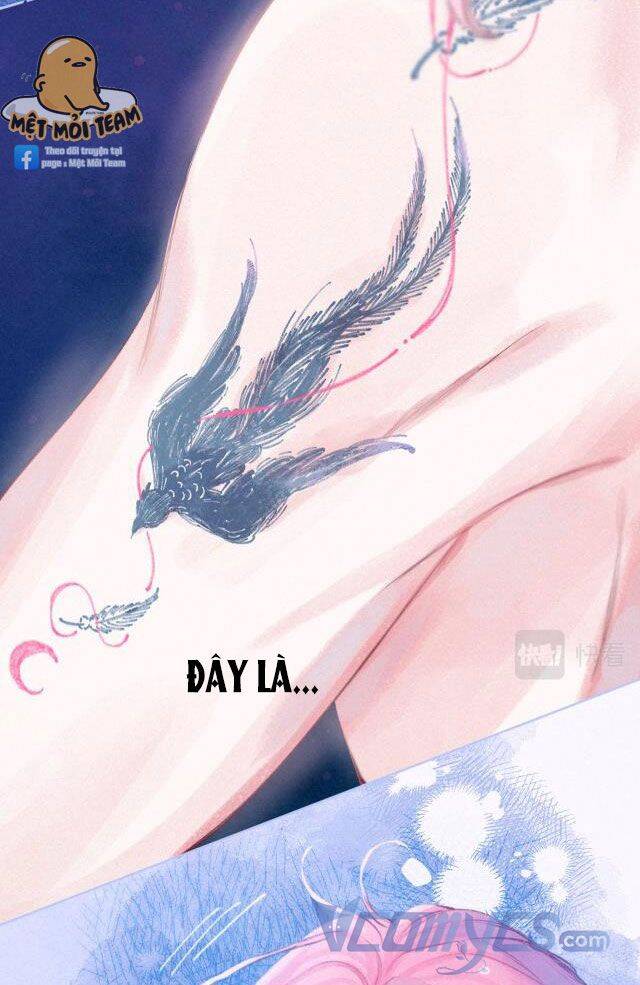 Sự Gai Góc Dịu Dàng - Chương 7 - Trang 56