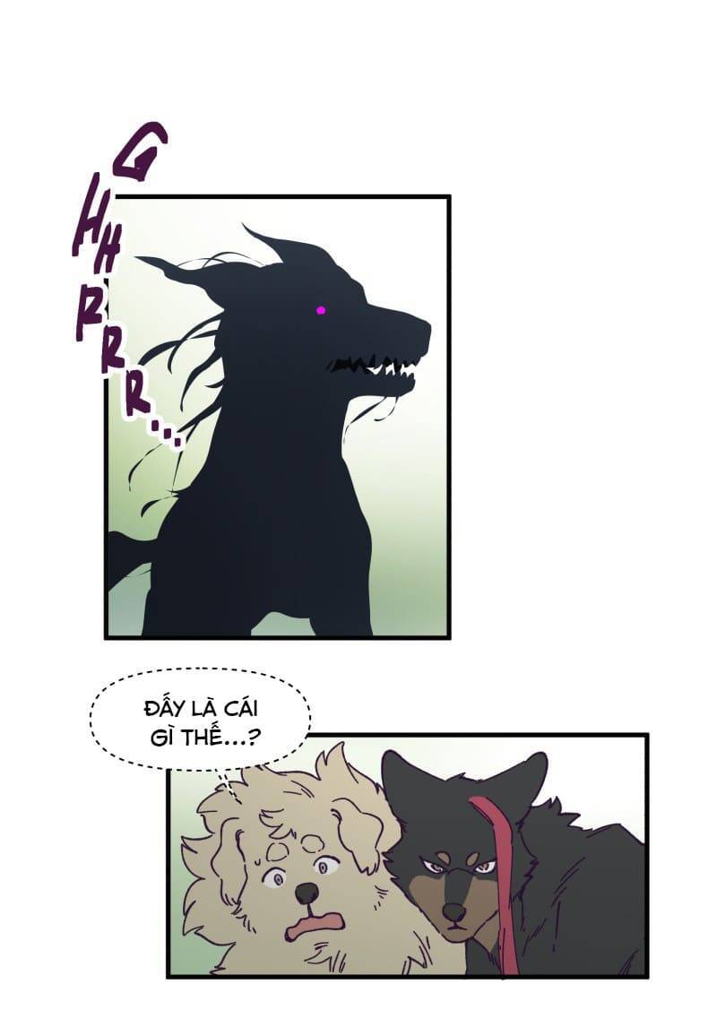 Lumine - Chương 142 - Trang 17