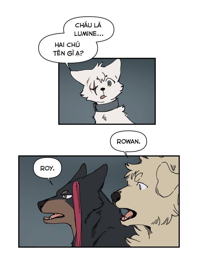Lumine - Chương 143 - Trang 13