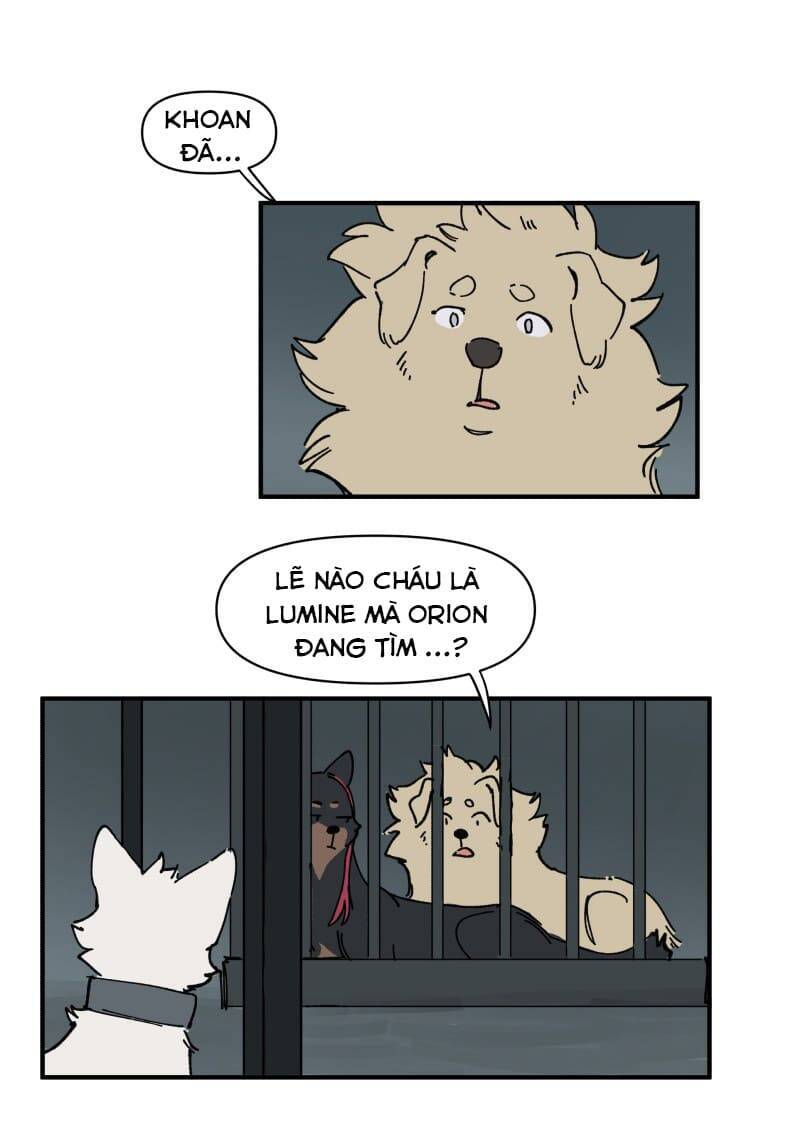 Lumine - Chương 143 - Trang 14