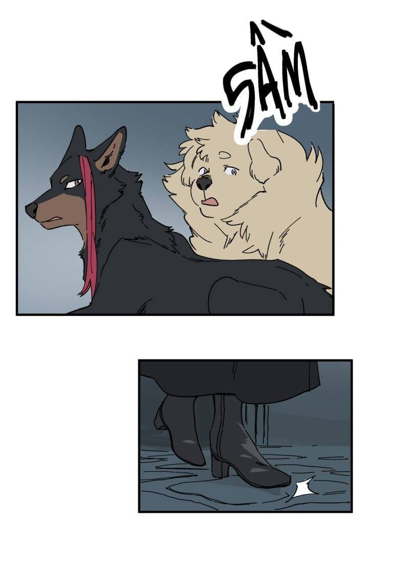 Lumine - Chương 143 - Trang 16