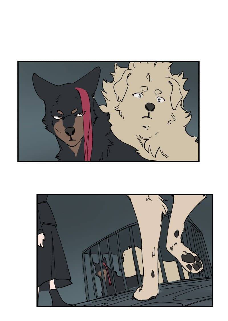 Lumine - Chương 143 - Trang 25