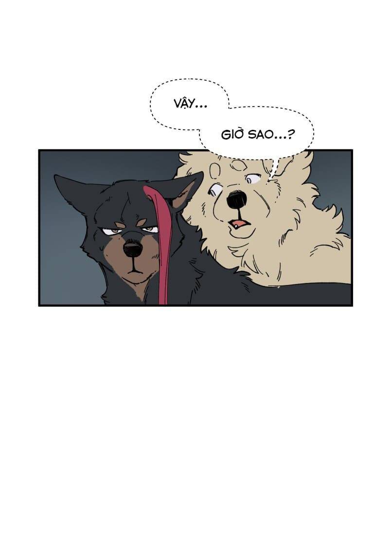 Lumine - Chương 143 - Trang 29