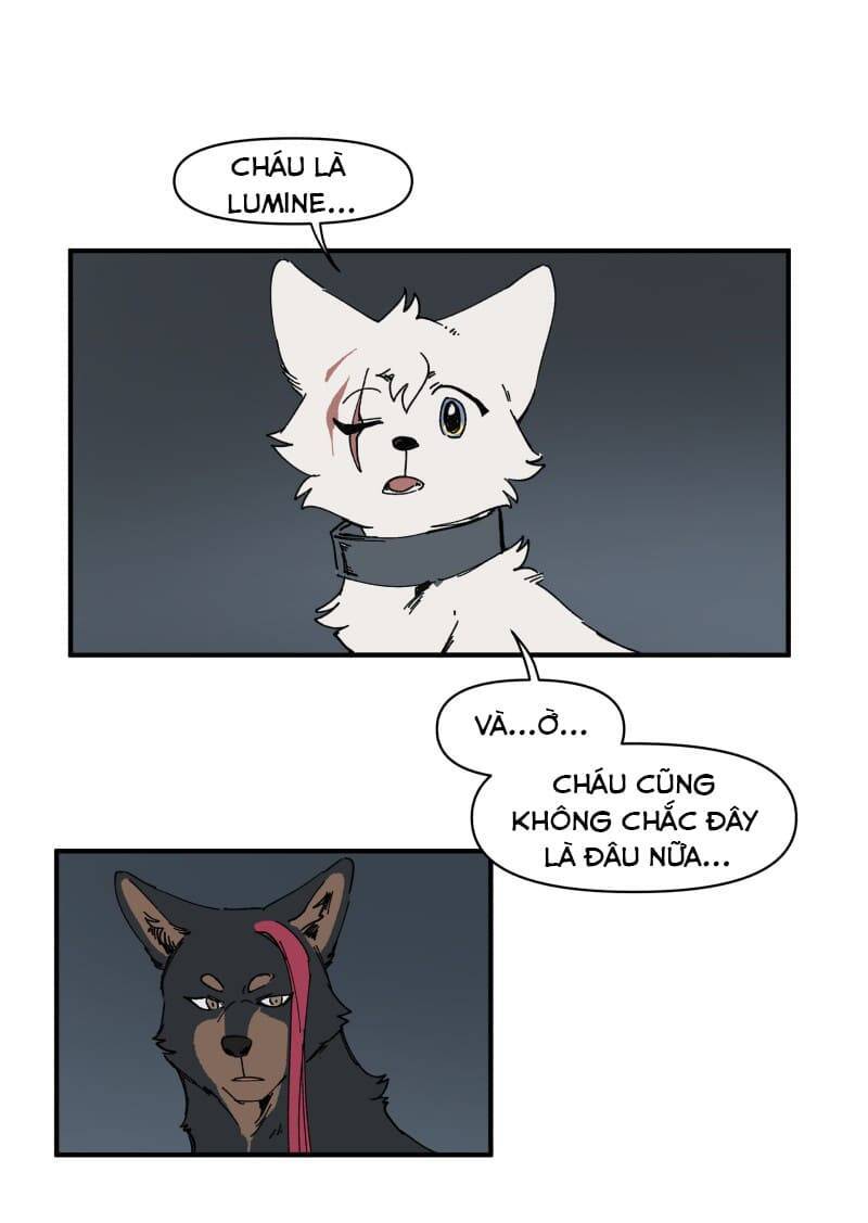Lumine - Chương 143 - Trang 9