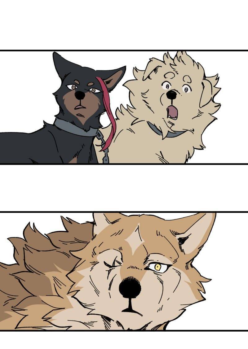 Lumine - Chương 150 - Trang 19