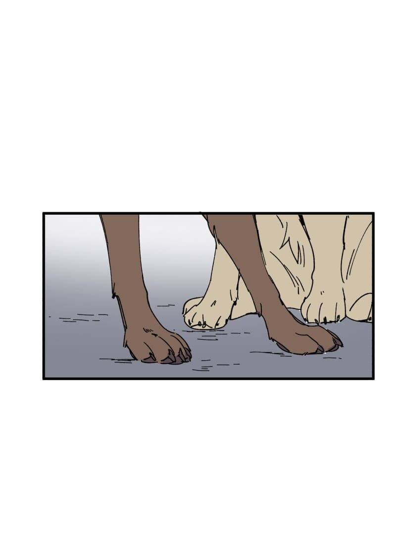 Lumine - Chương 152 - Trang 19