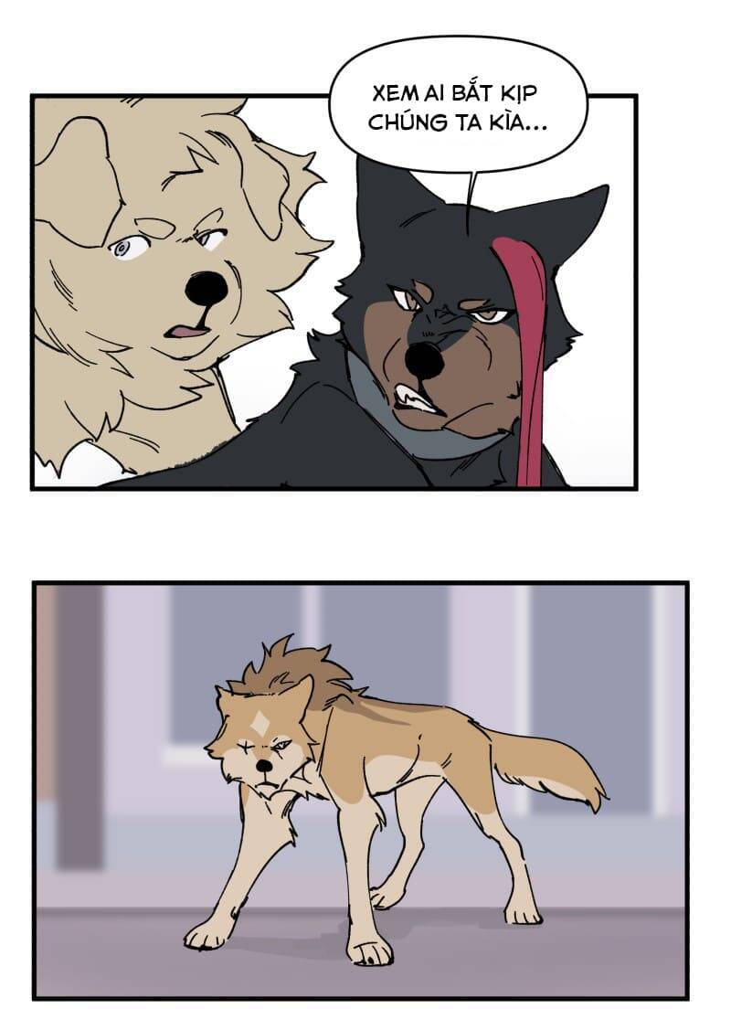 Lumine - Chương 152 - Trang 23