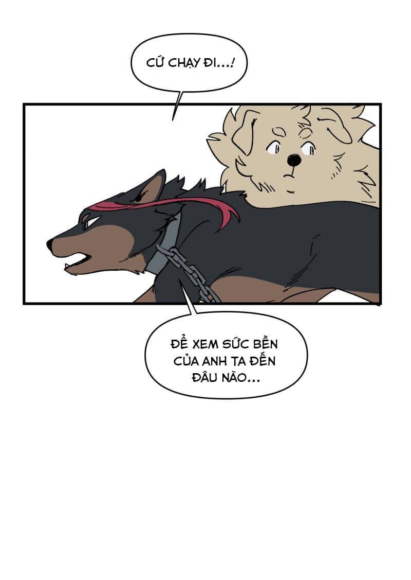 Lumine - Chương 152 - Trang 4