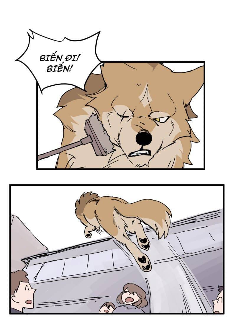 Lumine - Chương 152 - Trang 31