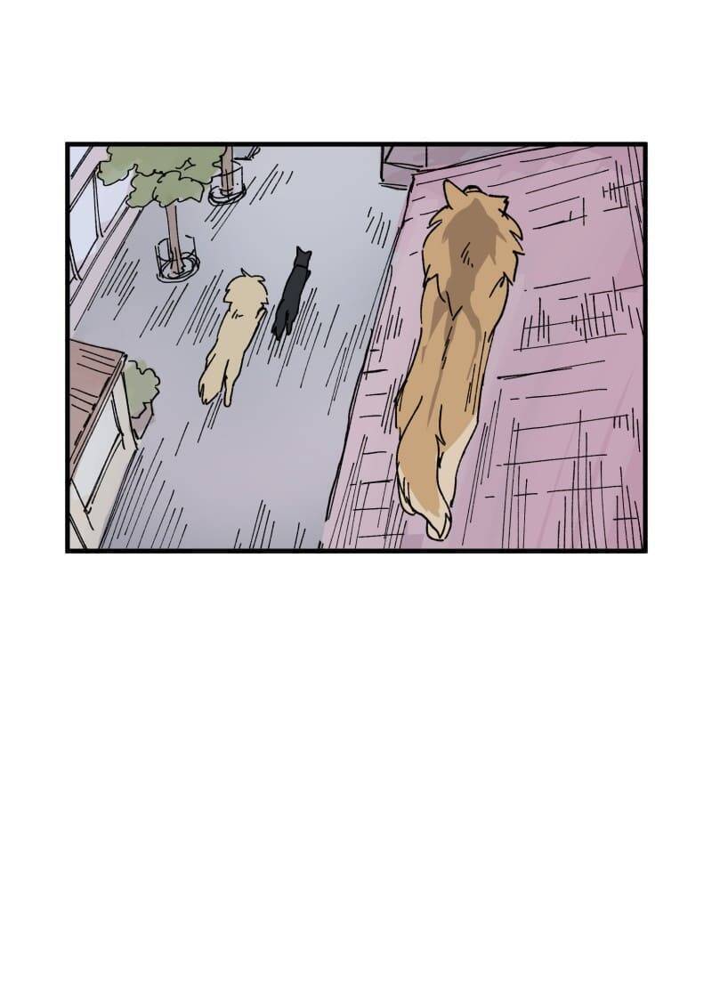 Lumine - Chương 152 - Trang 33