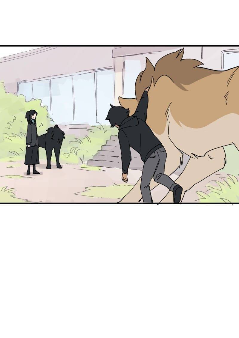 Lumine - Chương 156 - Trang 13