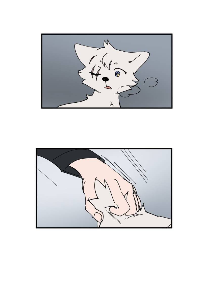 Lumine - Chương 156 - Trang 29