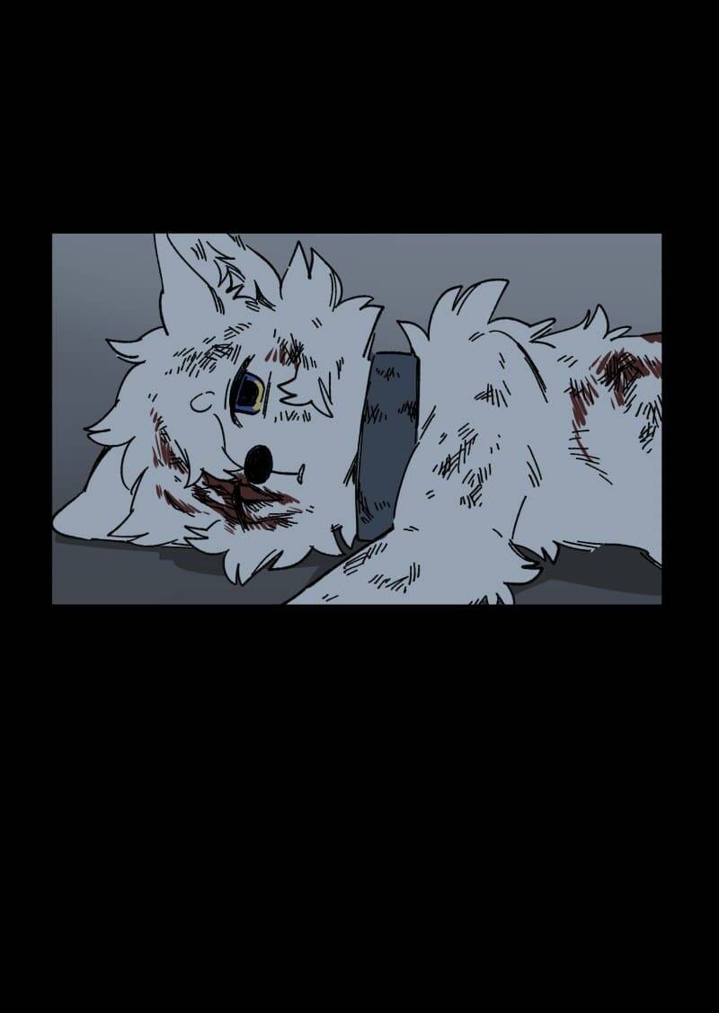 Lumine - Chương 138 - Trang 19