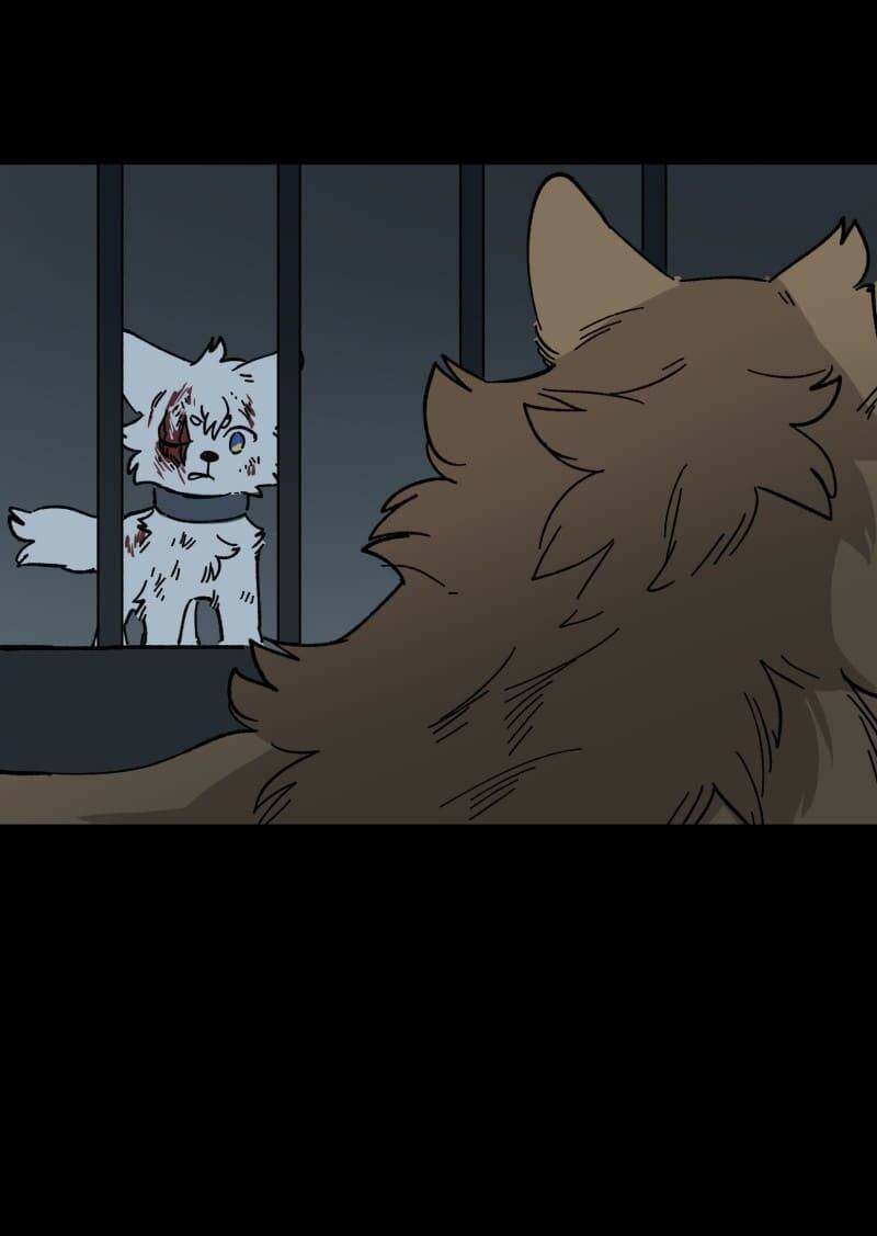 Lumine - Chương 138 - Trang 25