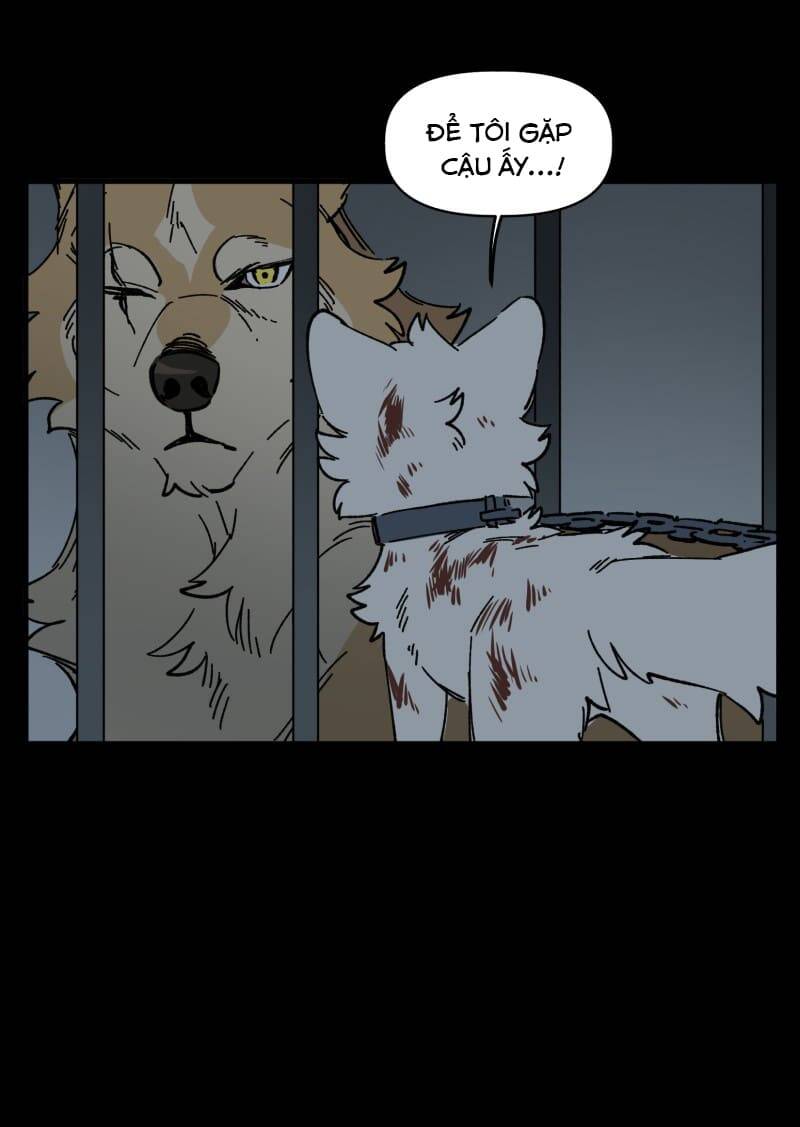 Lumine - Chương 138 - Trang 30