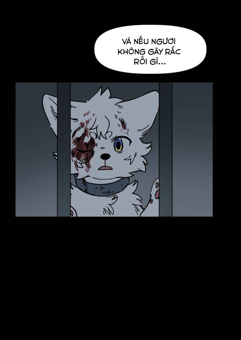 Lumine - Chương 138 - Trang 37