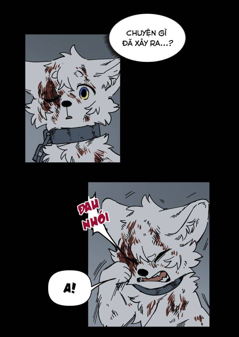 Lumine - Chương 138 - Trang 8