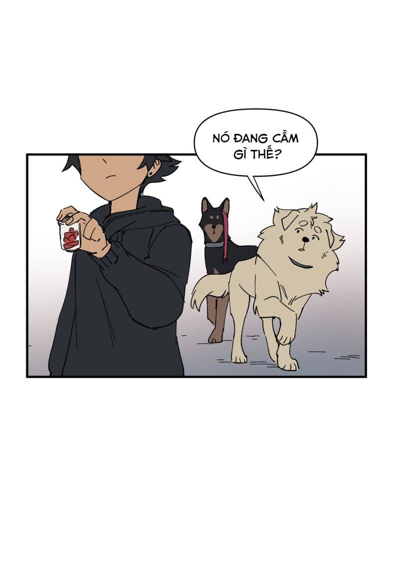 Lumine - Chương 154 - Trang 4