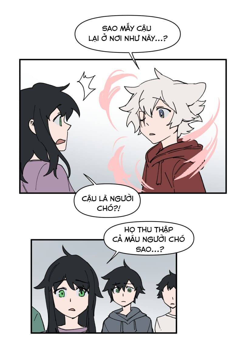 Lumine - Chương 155 - Trang 13