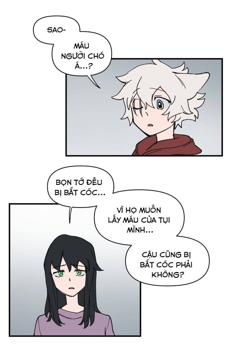 Lumine - Chương 155 - Trang 14