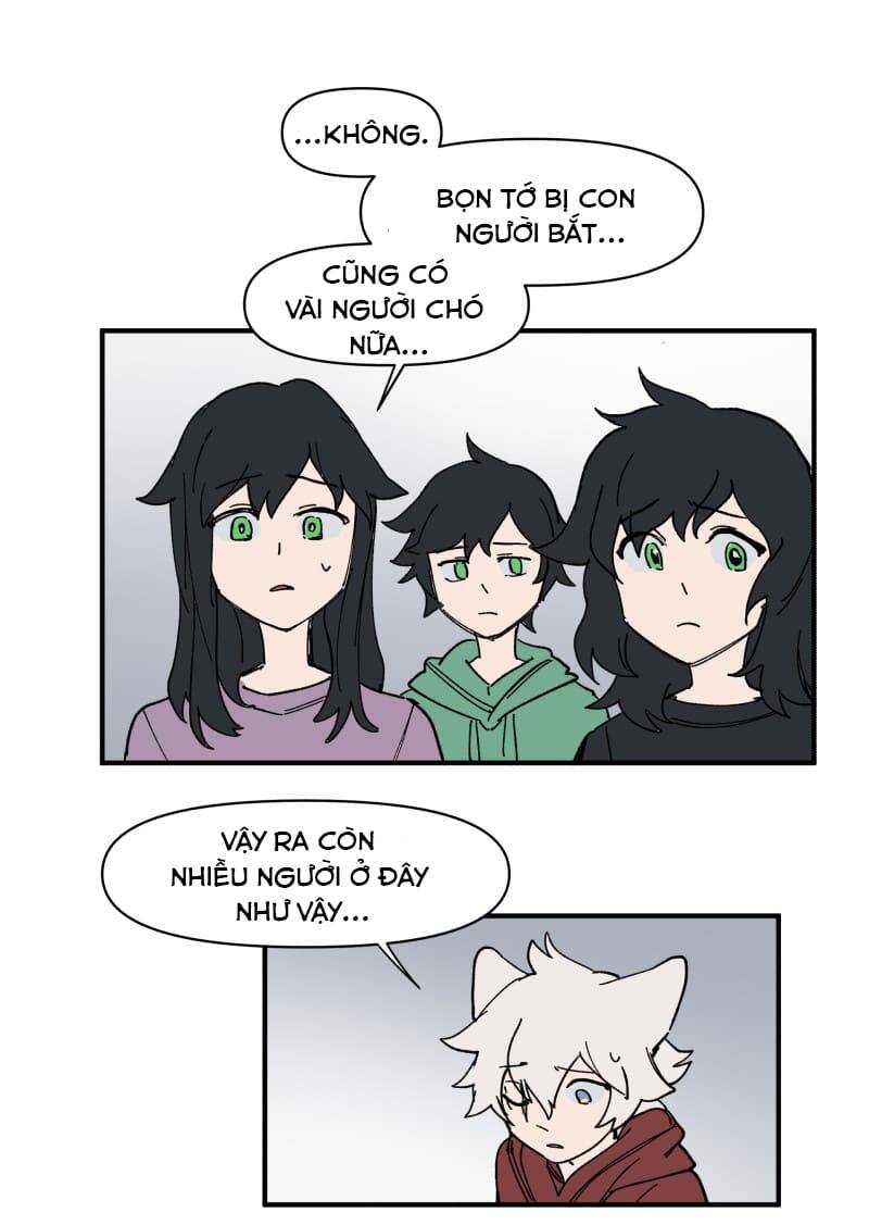 Lumine - Chương 155 - Trang 16