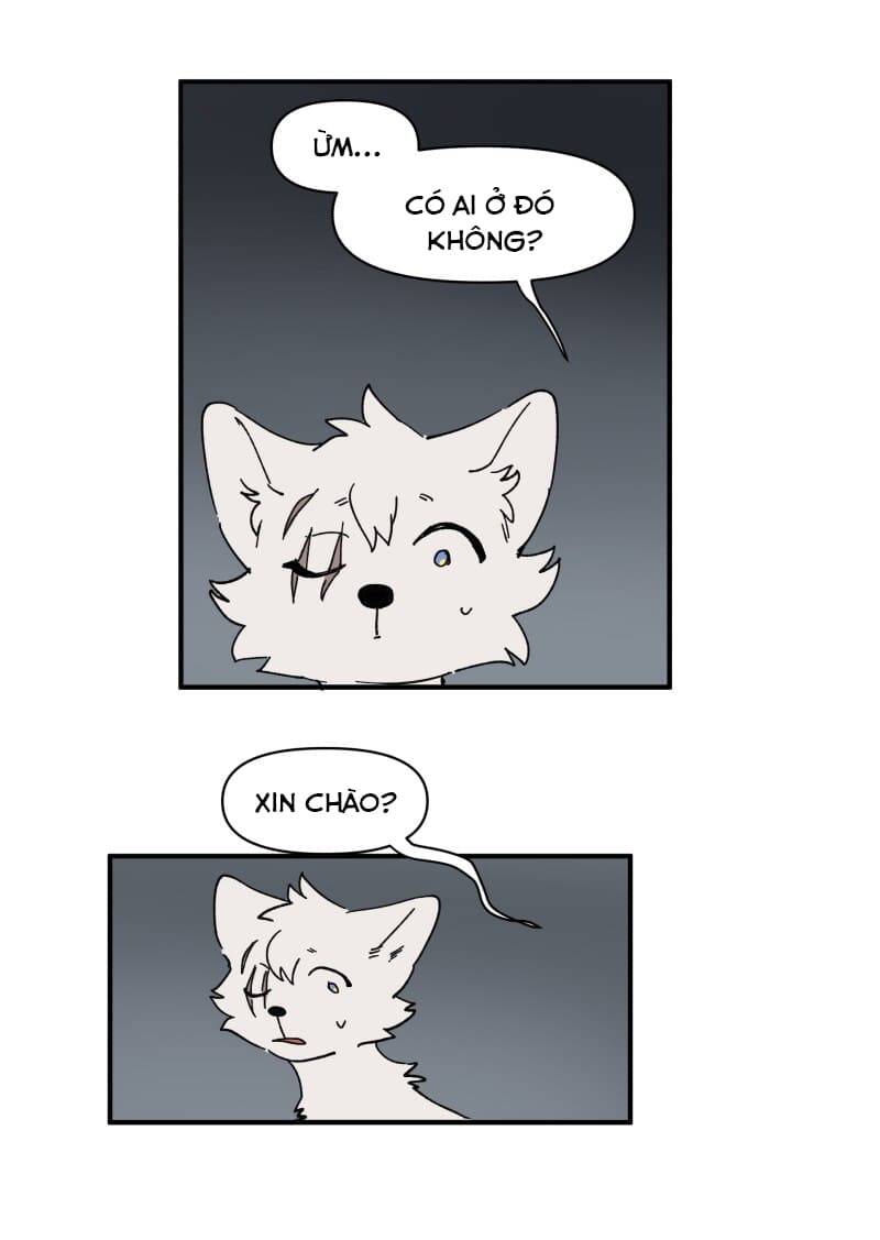 Lumine - Chương 155 - Trang 5