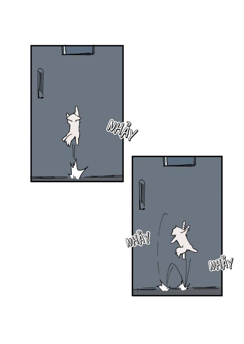 Lumine - Chương 155 - Trang 8