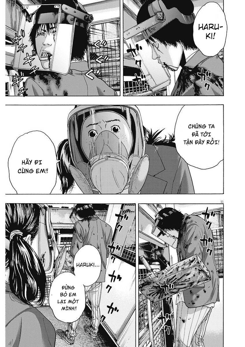 I Am A Hero - Chương 255 - Trang 11