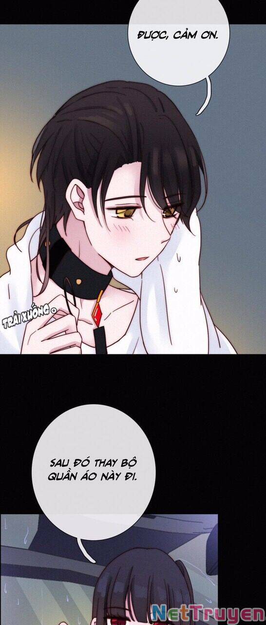 Hắc Dạ Hữu Sở Tư - Chương 50.1 - Trang 41