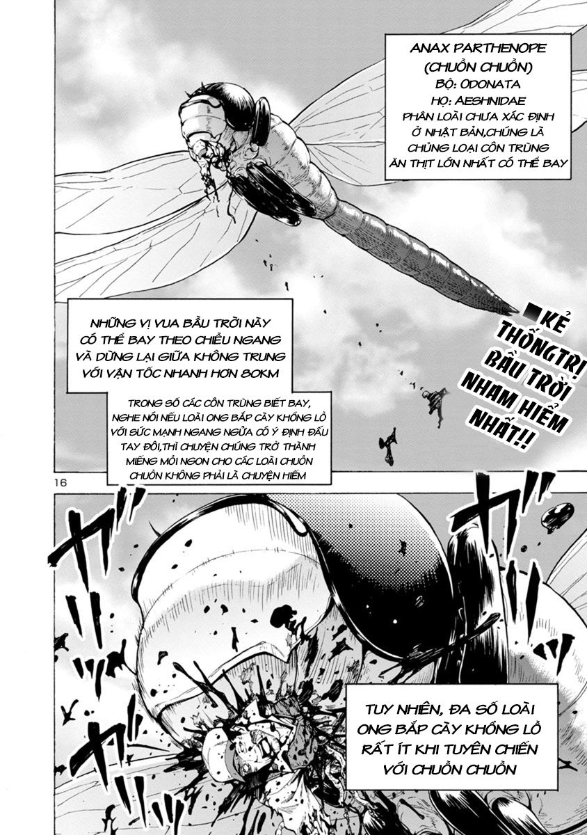 Kyochuu Rettou - Đảo Côn Trùng - Chương 22.5 - Trang 17