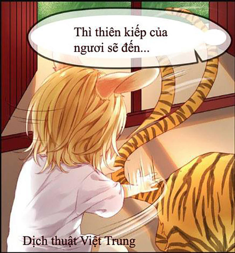 Lượm Được Một Tiểu Hồ Ly - Chương 1 - Trang 16