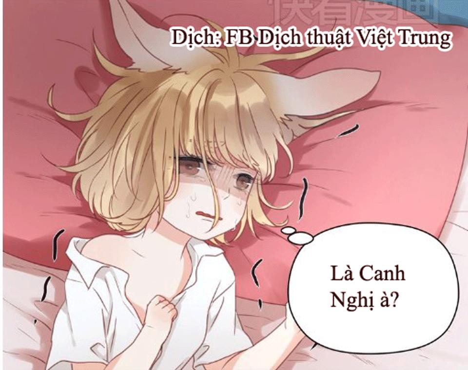 Lượm Được Một Tiểu Hồ Ly - Chương 16 - Trang 13