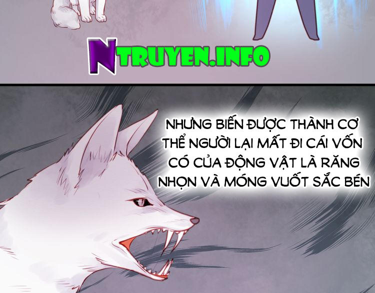 Lượm Được Một Tiểu Hồ Ly - Chương 48 - Trang 8