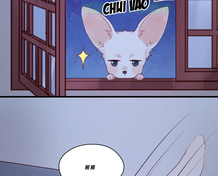 Lượm Được Một Tiểu Hồ Ly - Chương 52 - Trang 18