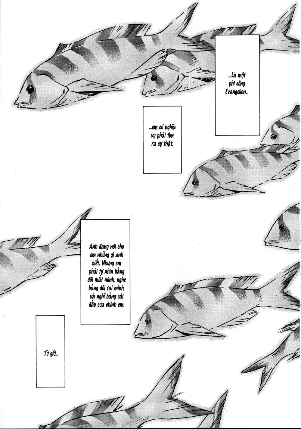 Shin Seiki Evangelion - Chương 34 - Trang 13