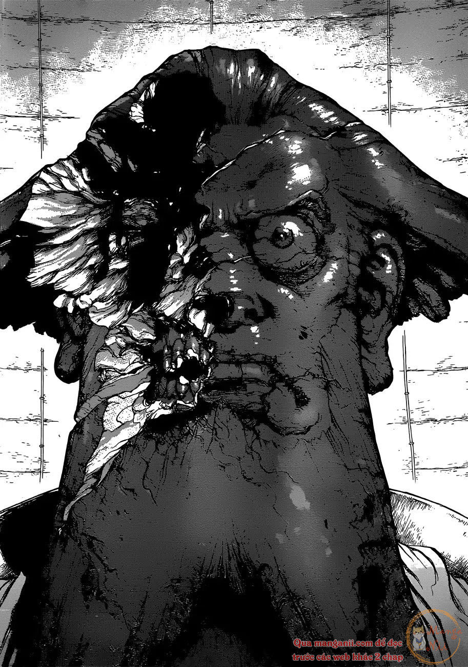 Dr.stone - Chương 120 - Trang 17