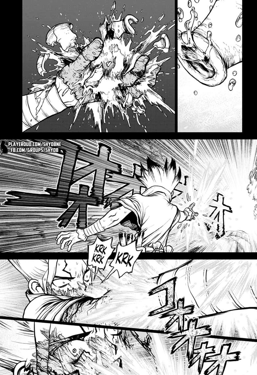 Dr.stone - Chương 135 - Trang 10