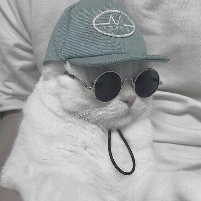 Dr.stone - Chương 108 - Trang 23