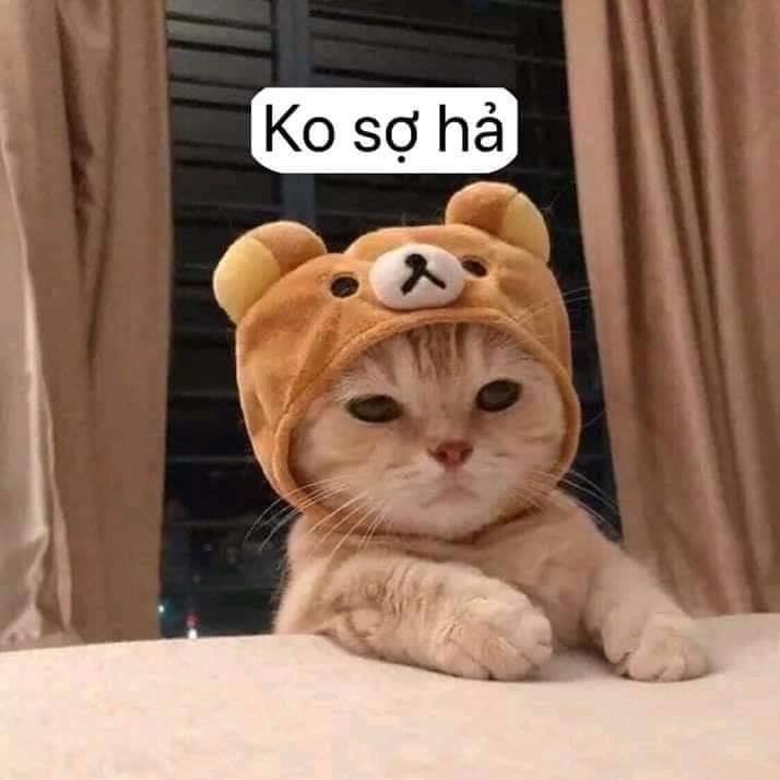 Dr.stone - Chương 114 - Trang 20